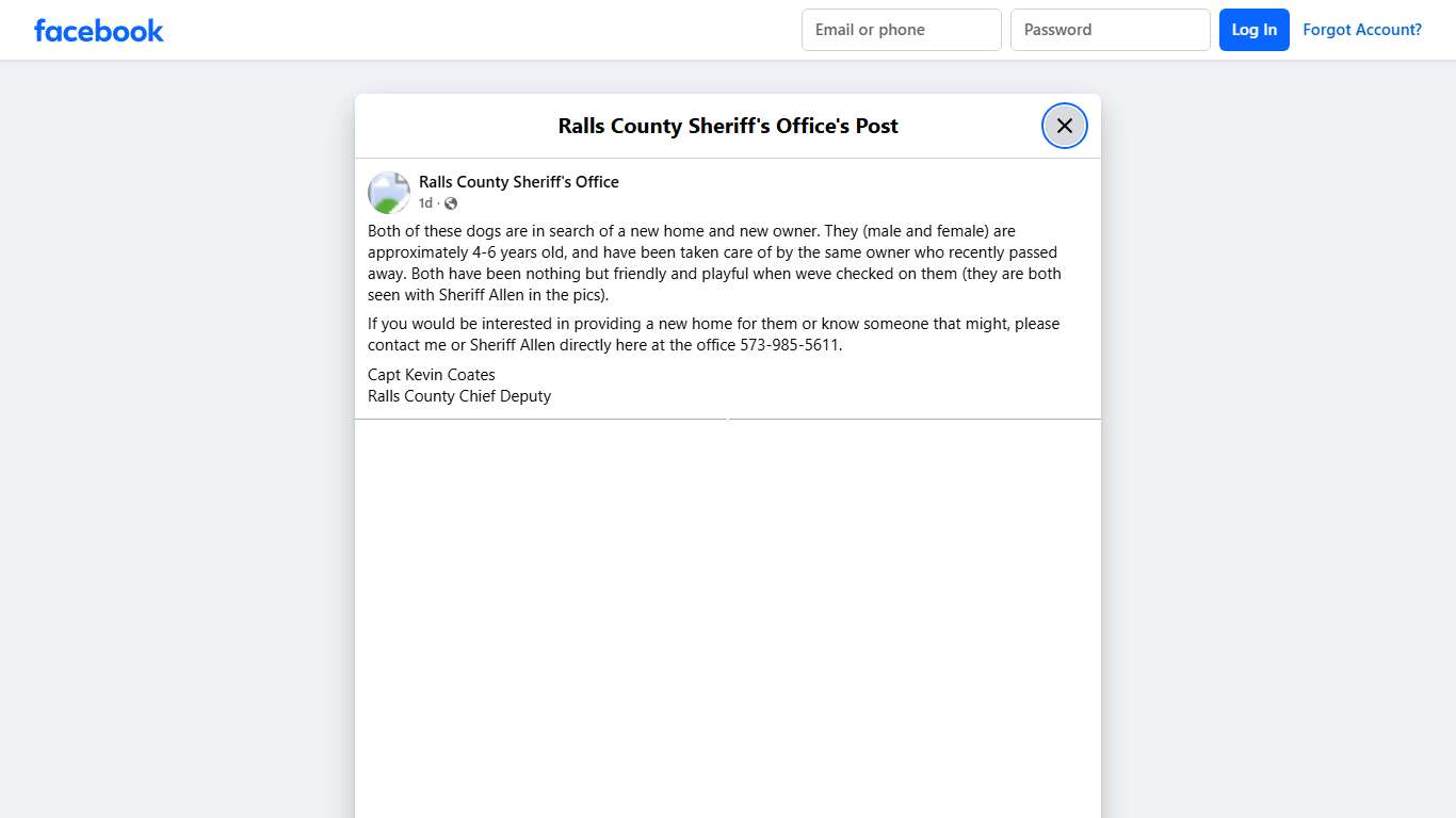 Both of these dogs are in... - Ralls County Sheriff's Office | Facebook